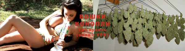 дурь Елизово