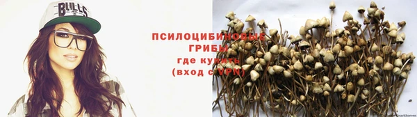 дурь Елизово