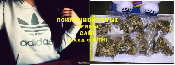 дурь Елизово