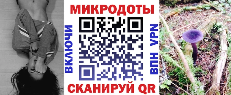 Псилоцибиновые грибы MAGIC MUSHROOMS Купить где Североуральск